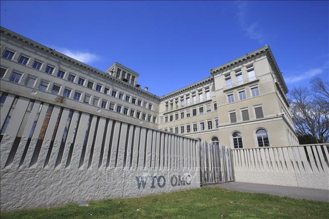 WTO đạt thỏa thuận sơ bộ nhằm kéo dài thời gian hoãn áp dụng thuế thương mại điện tử