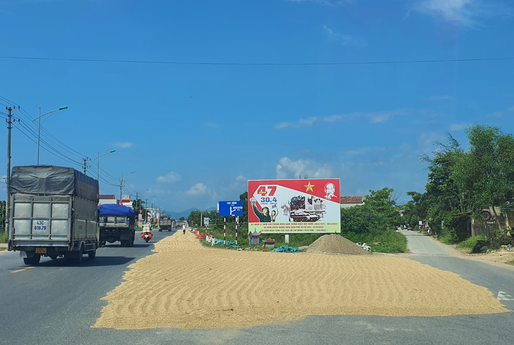 Lúa được phơi trên tuyến đường chính dẫn vào trung tâm thị trấn Kiến Giang.