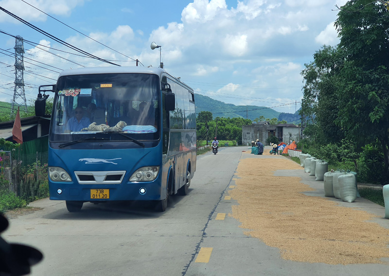 Lúa được người dân phơi trên một tuyến đường chính trên địa bàn xã Phú Thủy.