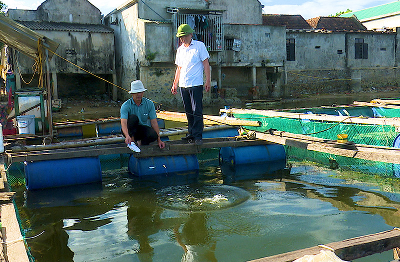  Nuôi cá lồng tại xã Quảng Minh đang là hướng đi hiệu quả. 