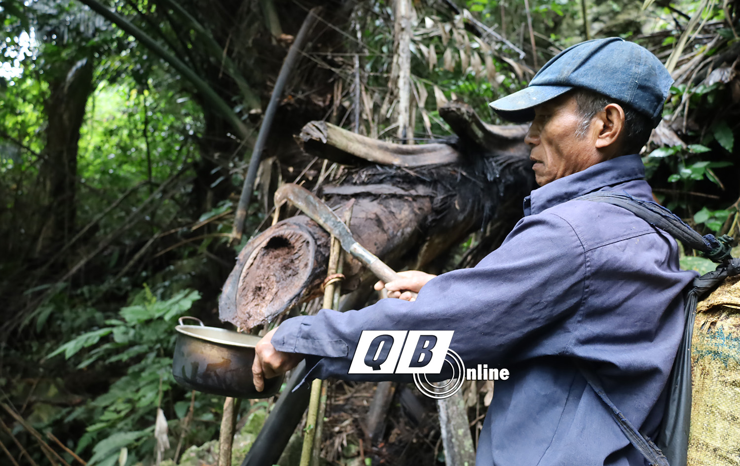 Chui vô khu rừng ở Quảng Bình chặt cây hứng rượu chảy ra, ấy thế mà nếm lâng lâng - Ảnh 2.