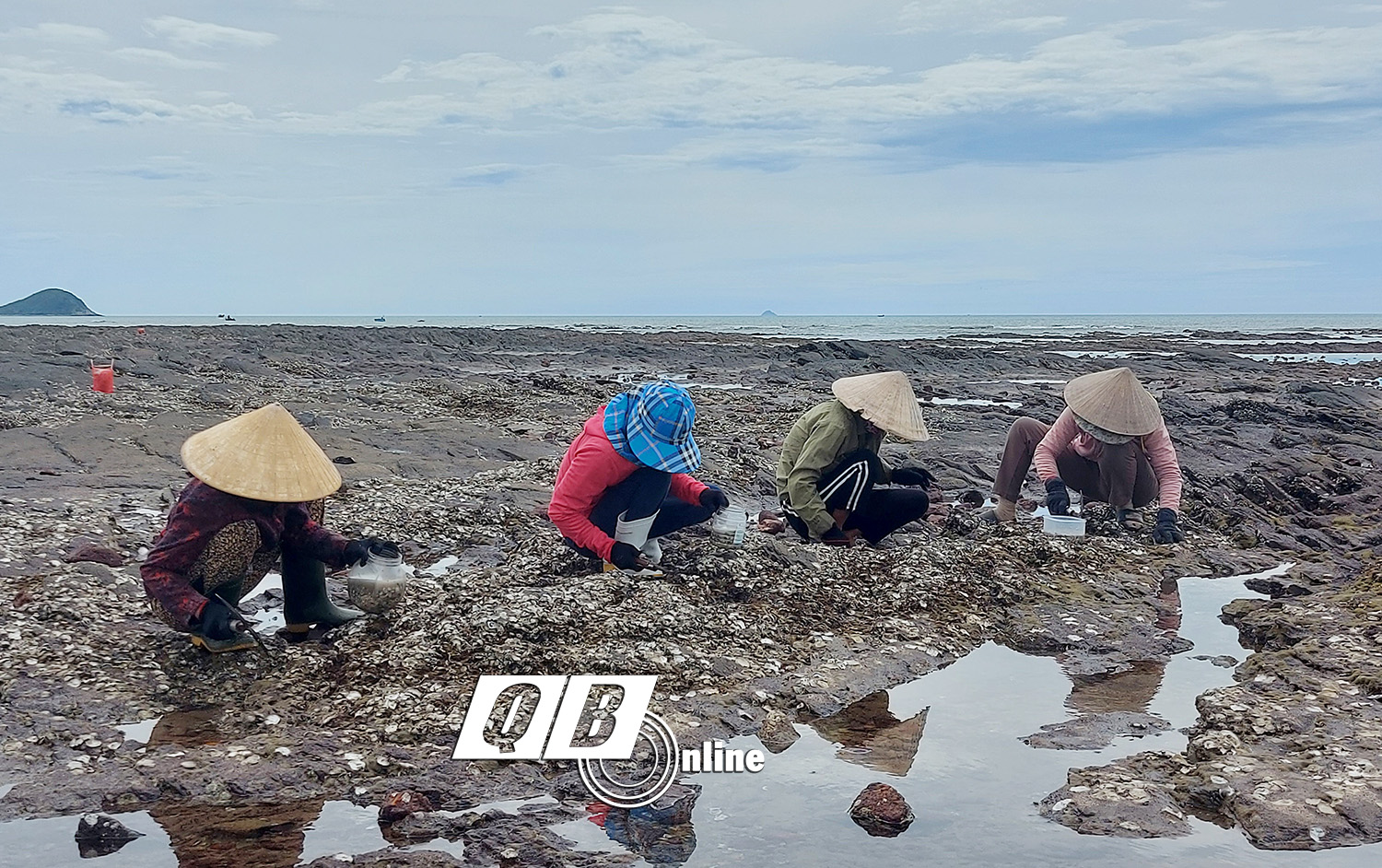  Những người phụ nữ ở thôn Nam Lãnh (Quảng Phú) mưu sinh bằng nghề “mổ” hàu trên bãi đá ngầm bên vịnh Hòn La.