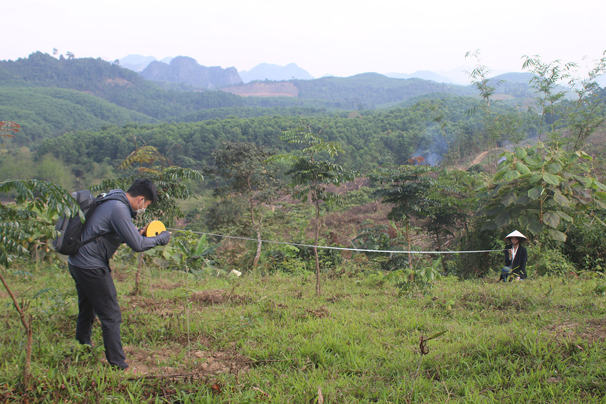 Công ty TNHH xã hội trồng và phục hồi rừng Việt Nam đánh giá chất lượng rừng trồng