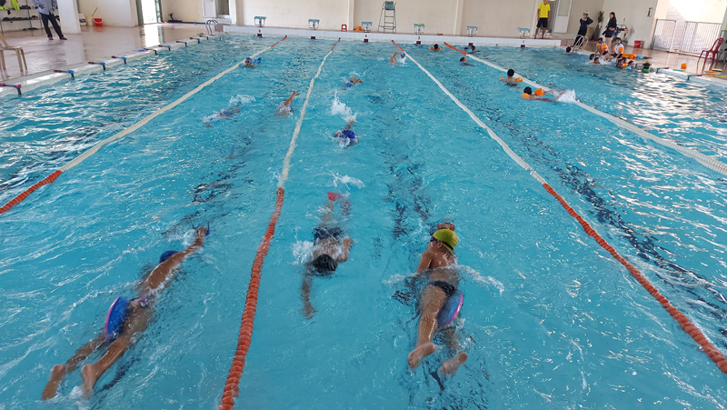 Các HLV của Trung tâm HL-TĐTDTT Quảng Bình tích cực tập luyện cho VĐV đội năng khiếu môn bơi.