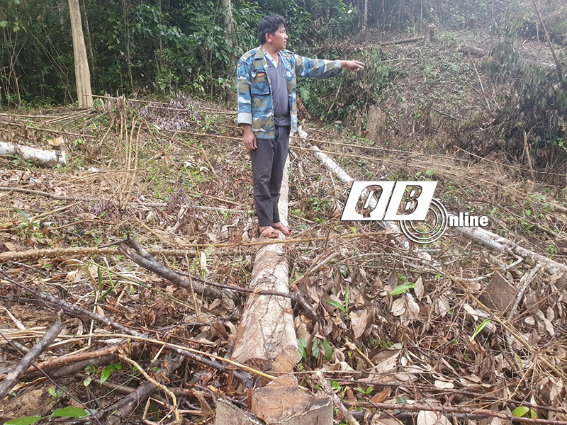Ông Cao Chí Thành (trú tại thôn Sy, xã Hóa Phúc, Minh Hóa) chỉ cho phóng viên vị trí khu rừng của gia đình bị chặt phá.