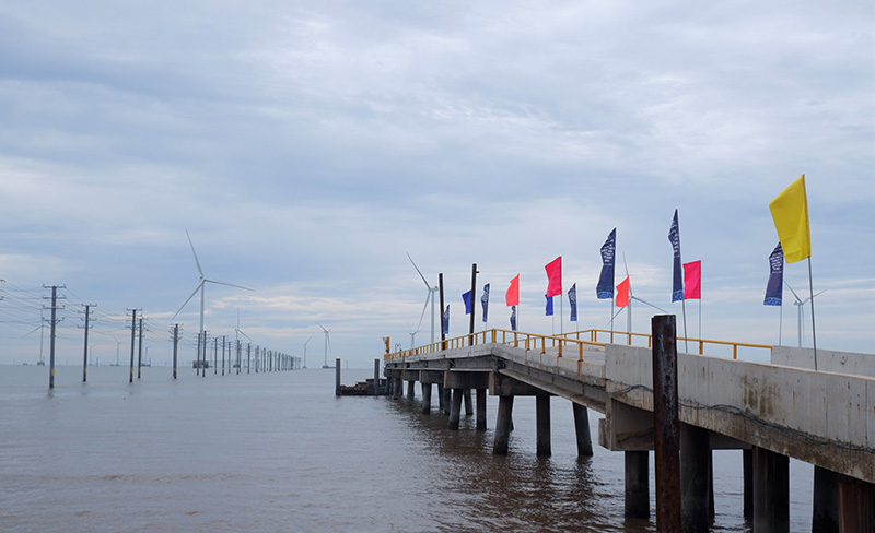 Nhà máy điện gió số 5 Thạnh Hải do Công ty cổ phần Tân Hoàn Cầu Bến Tre làm chủ đầu tư.