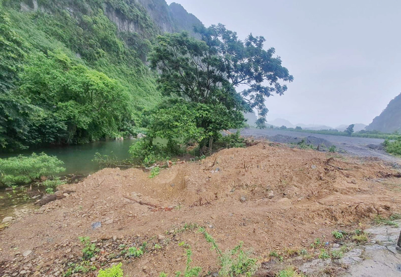 Việc khai thác những cây sung “khủng” gần bờ suối như thế này sẽ dẫn đến nguy cơ sạt lỡ đất khi có lũ.