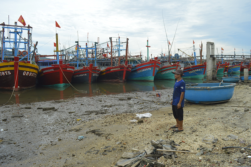  Mặc dù đang vào vụ đánh bắt chính nhưng khoảng 60% tàu cá ở xã Cảnh Dương (Quảng Trạch) vẫn nằm bờ.