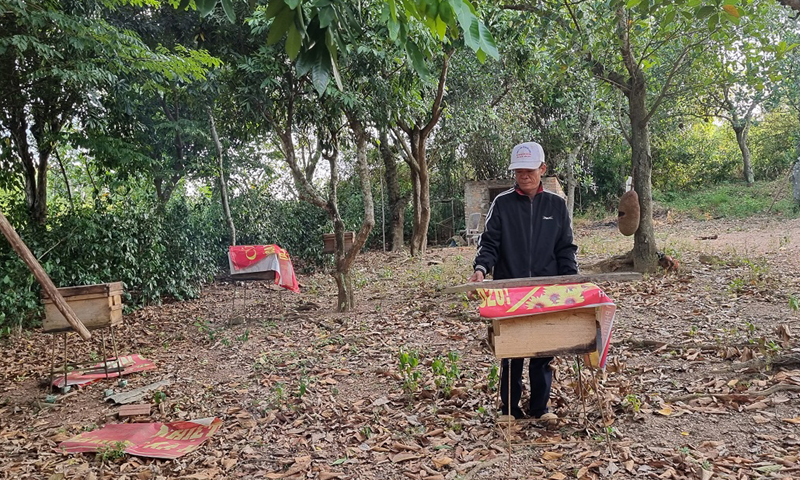 Mô hình nuôi ong lấy mật của ông Võ Văn Cương, tổ hội nông dân nghề nghiệp thôn Hà Kiên, xã Hàm Ninh (Quảng Ninh) mang lại hiệu quả kinh tế cao.