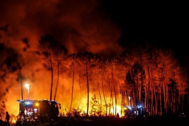 Các nhân viên cứu hộ vật lộn với những đám cháy rừng dữ dội gần Louchats ở Gironde, Tây Nam nước Pháp ngày 17/7/2022. (Ảnh: AFP)