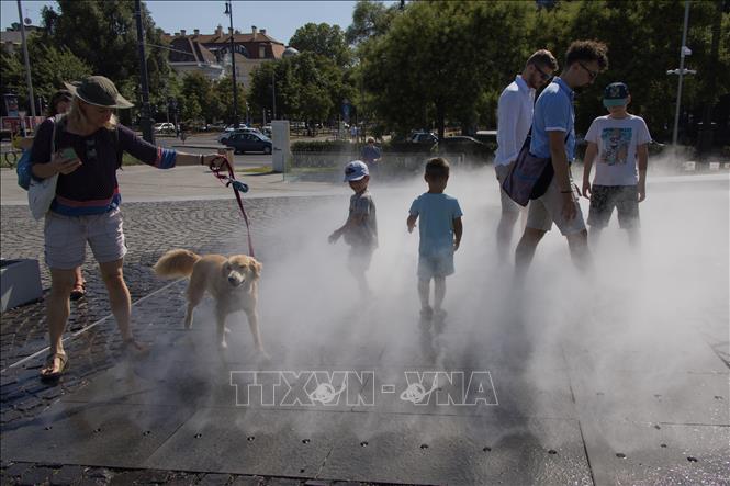  Người dân tránh nóng bên đài phun nước tại Budapest, Hungary, ngày 19/7/2022. Ảnh: THX/ TTXVN