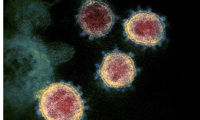 Hơn 65.000 người nhiễm virus giống chủng SARS-CoV ở Đông Nam Á mỗi năm