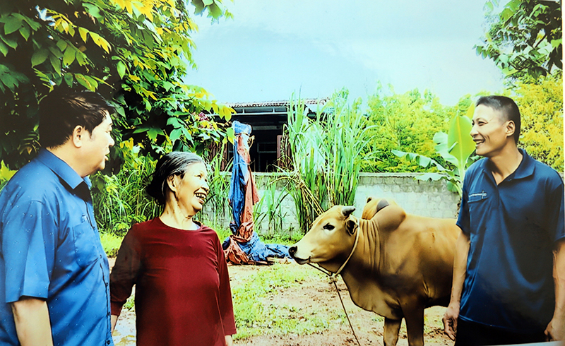 Nụ cười hạnh phúc của anh Lê Văn Lam (bên phải) khi được hỗ trợ giống bò.