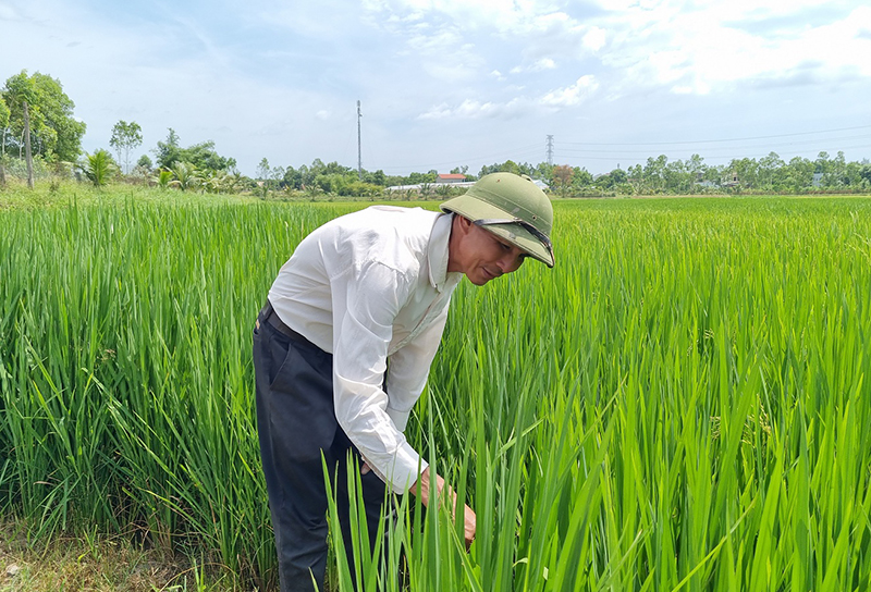 Mô hình của ông Đặng Văn Luân là động lực để các hội viên nông dân khác không ngừng nỗ lực phấn đấu, vươn lên thoát nghèo.
