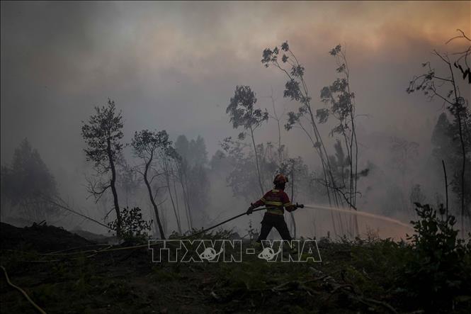Lính cứu hỏa dập đám cháy rừng tại Mafra, Bồ Đào Nha ngày 31/7/2022. Ảnh: AFP/TTXVN