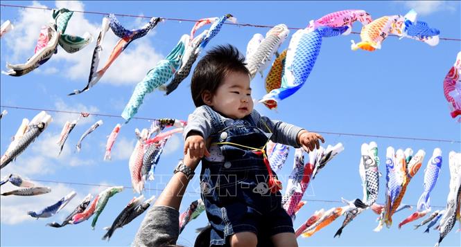Một ông bố cho con chơi đùa dưới cờ cá chép treo bên bờ sông ở Sagamihara, ngoại ô Tokyo, Nhật Bản. Ảnh: AFP/TTXVN