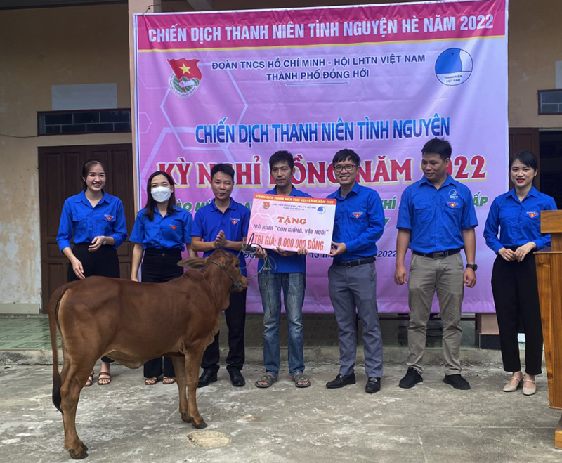 Thành đoàn và các Đoàn khối cơ quan, xí nghiệp trao tặng bò giống cho gia đình anh Phạm Ngọc Hiếu.