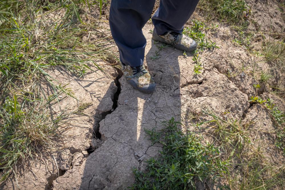 Lớp đất khô trên cánh đồng lúa ở ngoại ô Trùng Khánh, Trung Quốc hôm 21/8. Ảnh: AP