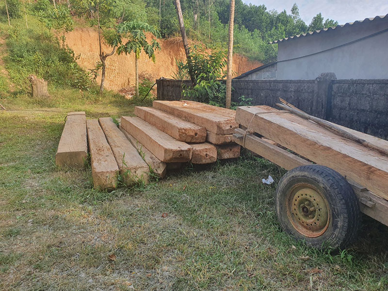 Phát hiện và thu giữ trên 67m3 gỗ lậu