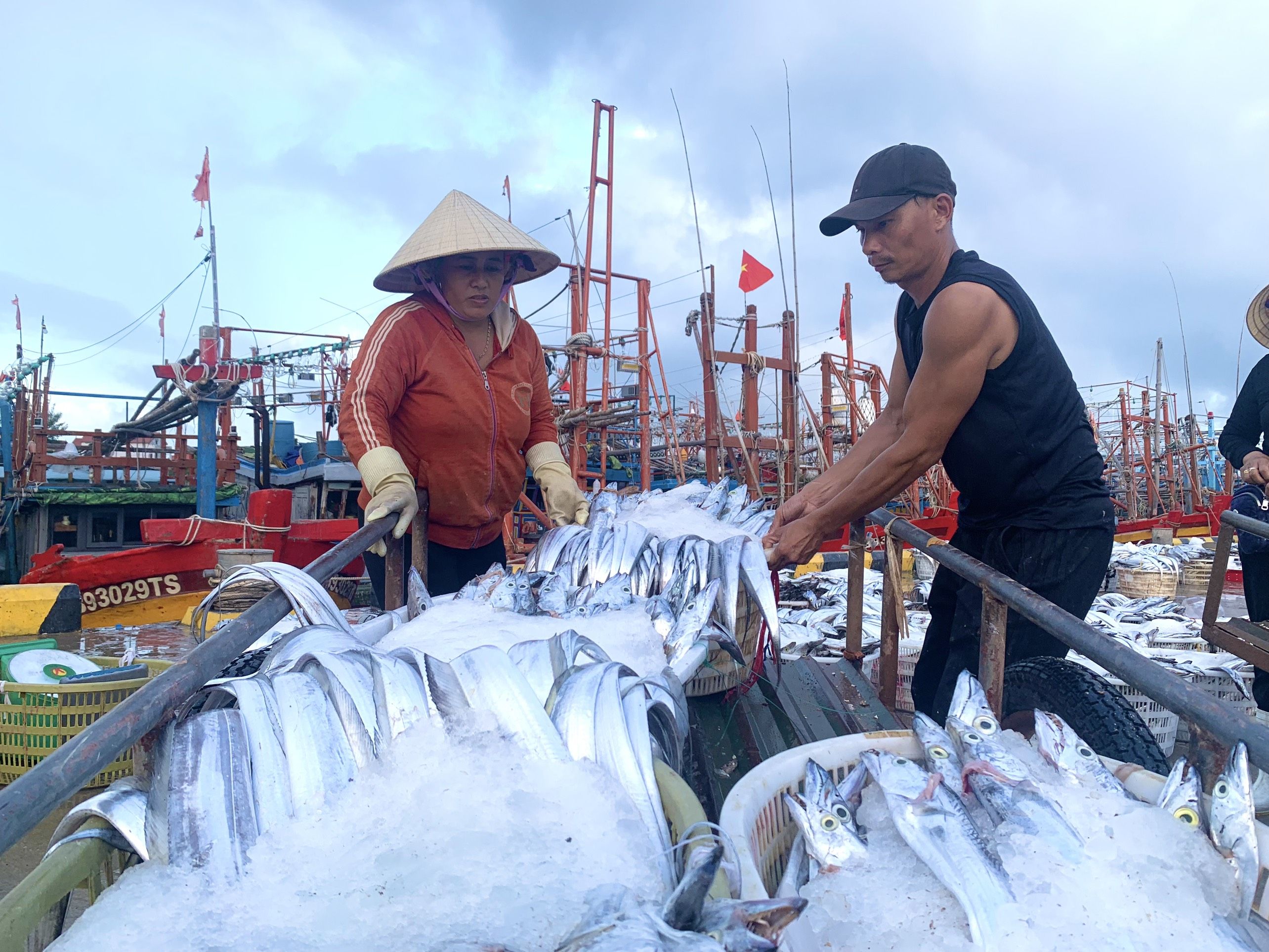 Tàu cá của ngư dân Cảnh Dương tránh bão Noru, mang theo cá đầy khoang