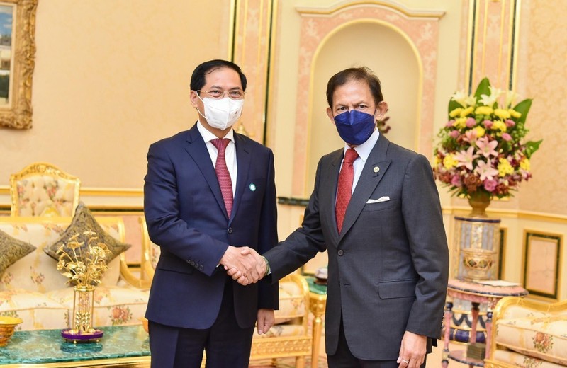 Quốc vương Brunei Sultan Haji Hassanal Bolkiah tiếp Bộ trưởng Ngoại giao Bùi Thanh Sơn. (Ảnh: TTXVN)