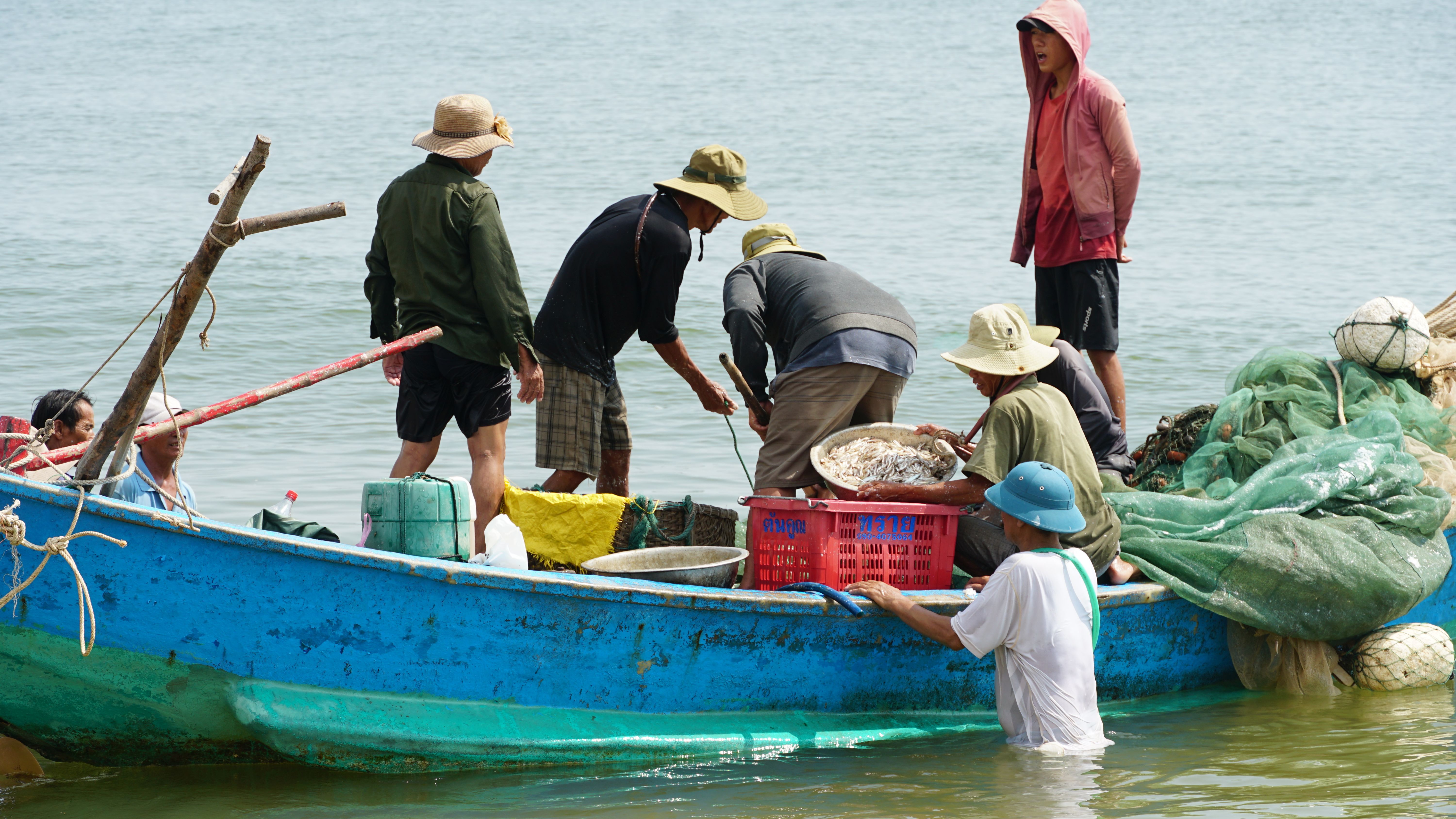 Nhiều tàu cá của ngư dân Quảng Xuân trúng đậm cá cơm.