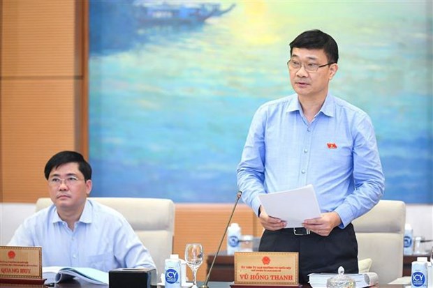 Chủ nhiệm Ủy ban Kinh tế của Quốc hội Vũ Hồng Thanh trình bày báo cáo thẩm tra. (Ảnh: Doãn Tấn/TTXVN)