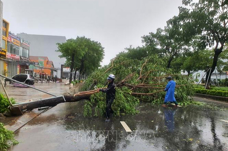 Lực lượng chức năng khẩn trương xử lý cây xanh bị đổ trên đường Nguyễn Phước Lan (phường Hòa Xuân, quận Cẩm Lệ, thành phố Đà Nẵng). Ảnh: Quốc Dũng/TTXVN