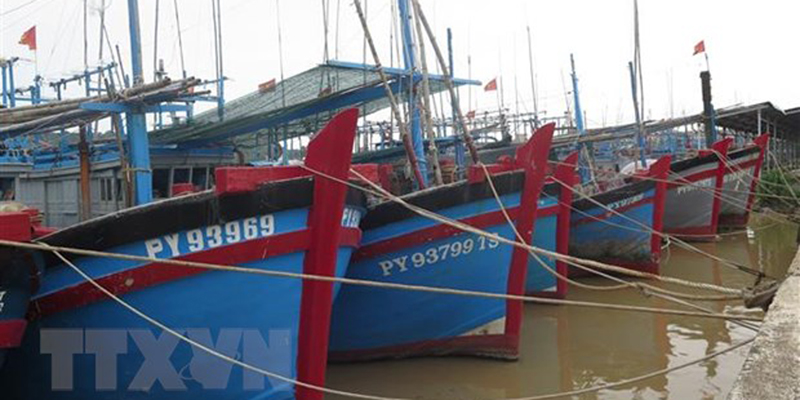Các tỉnh Quảng Ninh đến Bình Định chủ động ứng phó gió mạnh trên biển