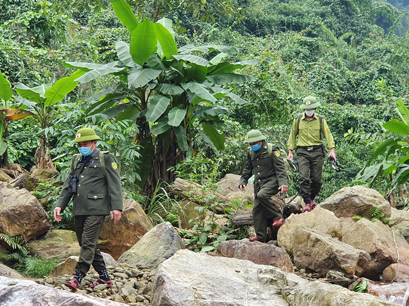 Lực lượng Kiểm lâm VQG PN-KB tuần tra, bảo vệ rừng trong lâm phận quản lý.