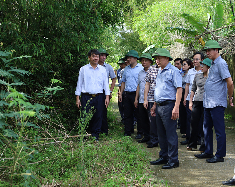  Đoàn công tác kiểm tra đoạn kè bị sạt lở từ cầu Long Châu đi thôn Trung Tiến.