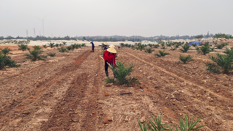 Thu tiền sử dụng đất góp phần tăng nguồn thu ngân sách trên địa bàn huyện Quảng Ninh.