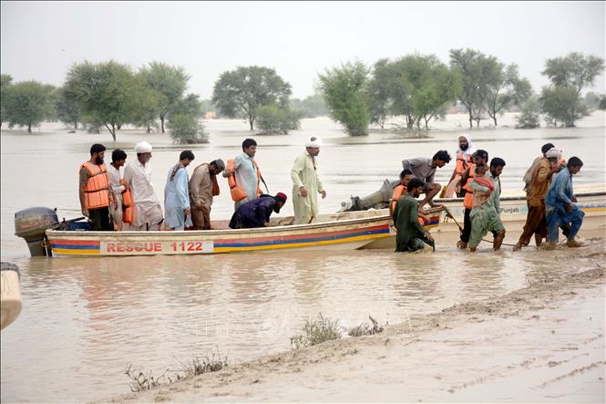 Cảnh ngập lụt sau những trận mưa lớn tại Rajanpur, tỉnh Punjab, Pakistan. Ảnh minh họa: THX/TTXVN