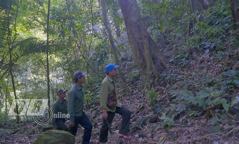 Anh Phương và đồng nghiệp trong chuyến tuần tra bảo vệ rừng. 