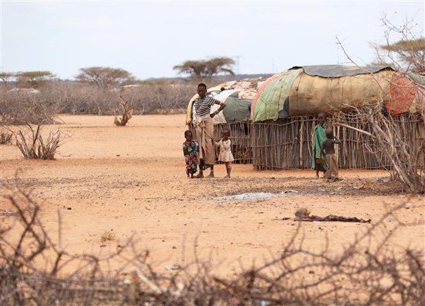Người dân tại khu vực bị ảnh hưởng bởi hạn hán ở thị trấn Laisamis, Marsabit (Kenya), ngày 26/8/2022. (Ảnh: THX/TTXVN)