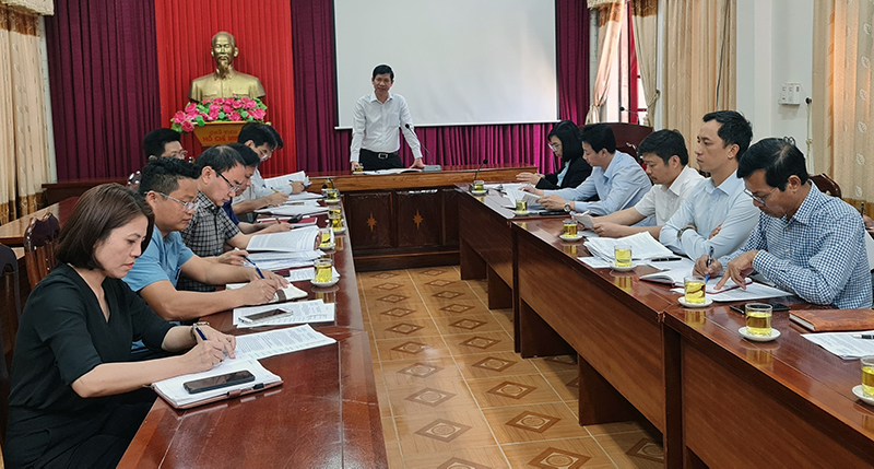 Đồng chí Phó Chủ tịch UBND tỉnh Hồ An Phong phát biểu kết luận buổi làm việc. 