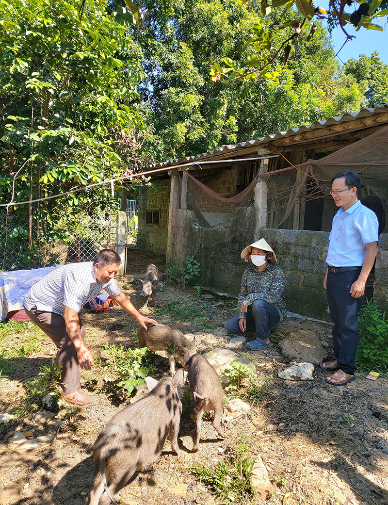 Mô hình gia trại tổng hợp của chị Nguyễn Thị Mỹ Lợi (thôn Tân Sơn, xã Đức Ninh) cho thu nhập ổn định.