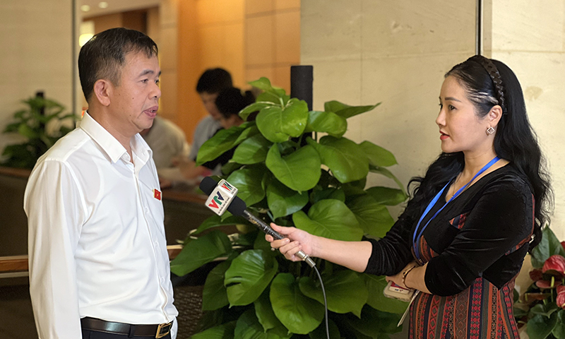 Đại biểu Nguyễn Tiến Nam trả lời phỏng vấn Đài Truyền hình Việt Nam bên lề kỳ họp
