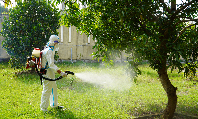 Phun hóa chất diệt muỗi trưởng thành là giải pháp hữu hiệu trong phòng chống dịch SXH.