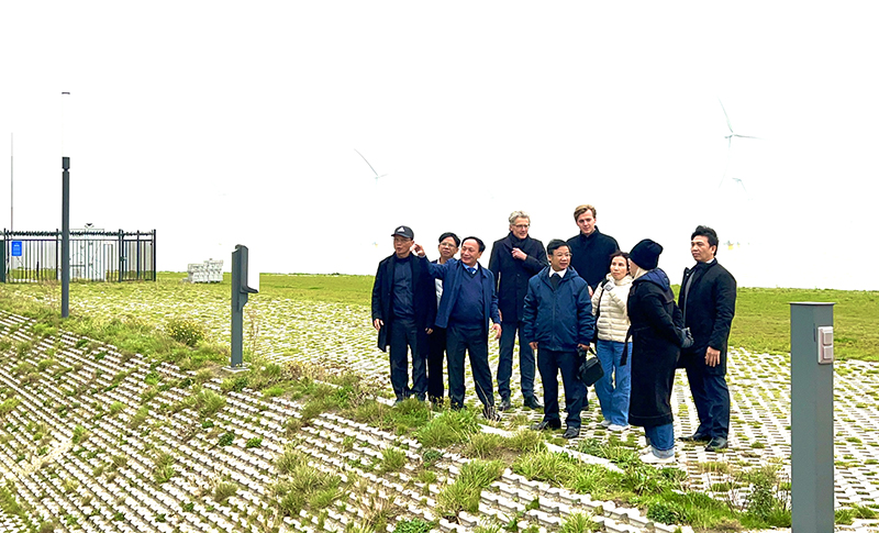 Đồng chí Phó Bí thư Thường trực Tỉnh ủy Trần Hải Châu và đoàn công tác đã đến thăm thực địa công trình điện gió ngoài khơi (Hà Lan).