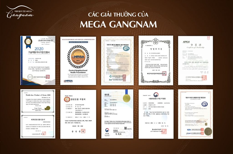 Những giải thưởng lớn mà Mega Gangnam mang lại