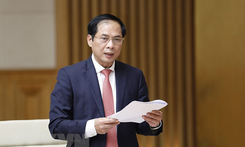 Bộ trưởng Bộ ngoại giao Bùi Thanh Sơn, Tổ trưởng Tổ công tác của Chính phủ về ngoại giao vaccine báo cáo công tác.(Ảnh: Dương Giang/TTXVN)