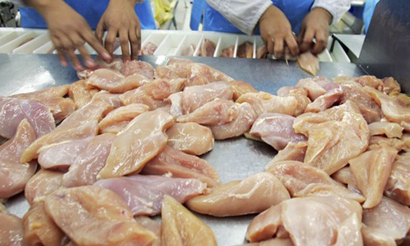 Thịt gà có thể là nguyên nhân gây đợt bùng phát nhiễm khuẩn Salmonella