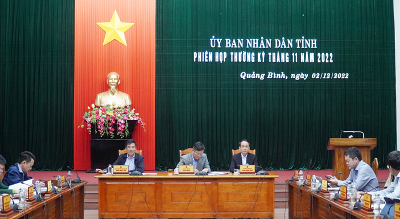 Đồng chí Phó Chủ tịch Thường trực UBND tỉnh Đoàn Ngọc Lâm chủ trì thảo luận tại phiên họp.
