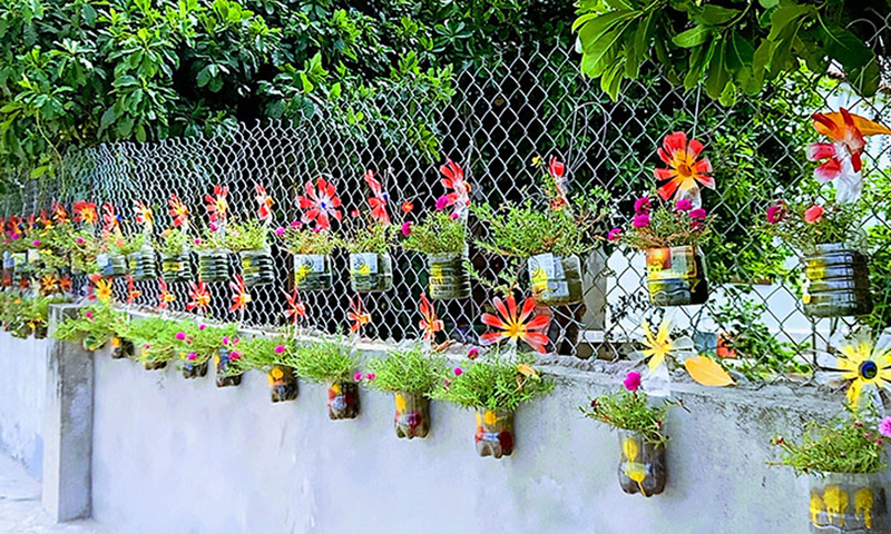 Hàng rào xanh NTM từ nhựa tái chế của chị em hội viên phụ nữ xã Quảng Xuân (Quảng Trạch).