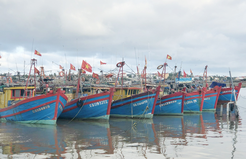Ngư dân Quảng Bình vẫn duy trì số lượng tàu khai thác thủy sản tuyến biển khá hùng hậu.
