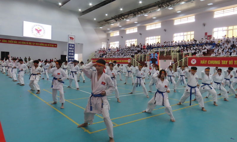 Giải đấu karate tạo nhiều ấn tượng tại Đại hội TDTT toàn tỉnh lần thứ IX.