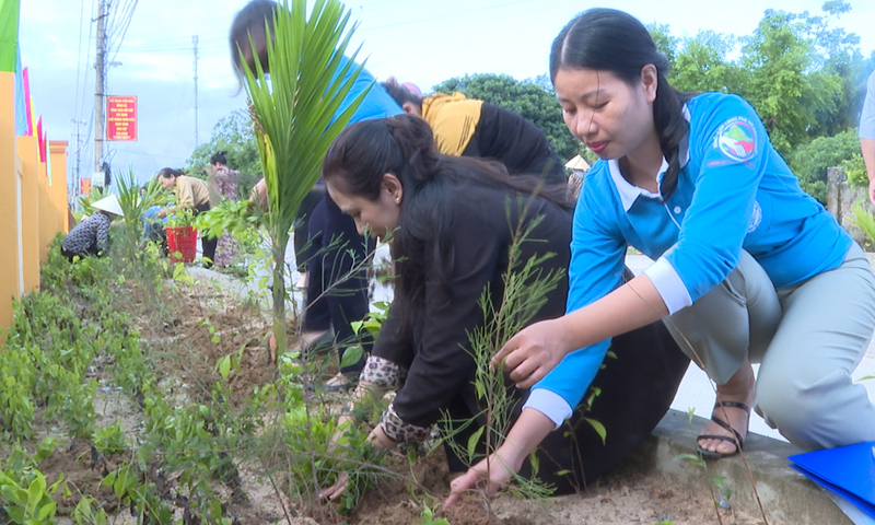 Các cấp Hội Phụ nữ huyện Quảng Trạch đẩy mạnh trồng cây xanh, tạo cảnh quan môi trường xanh-sạch-đẹp.