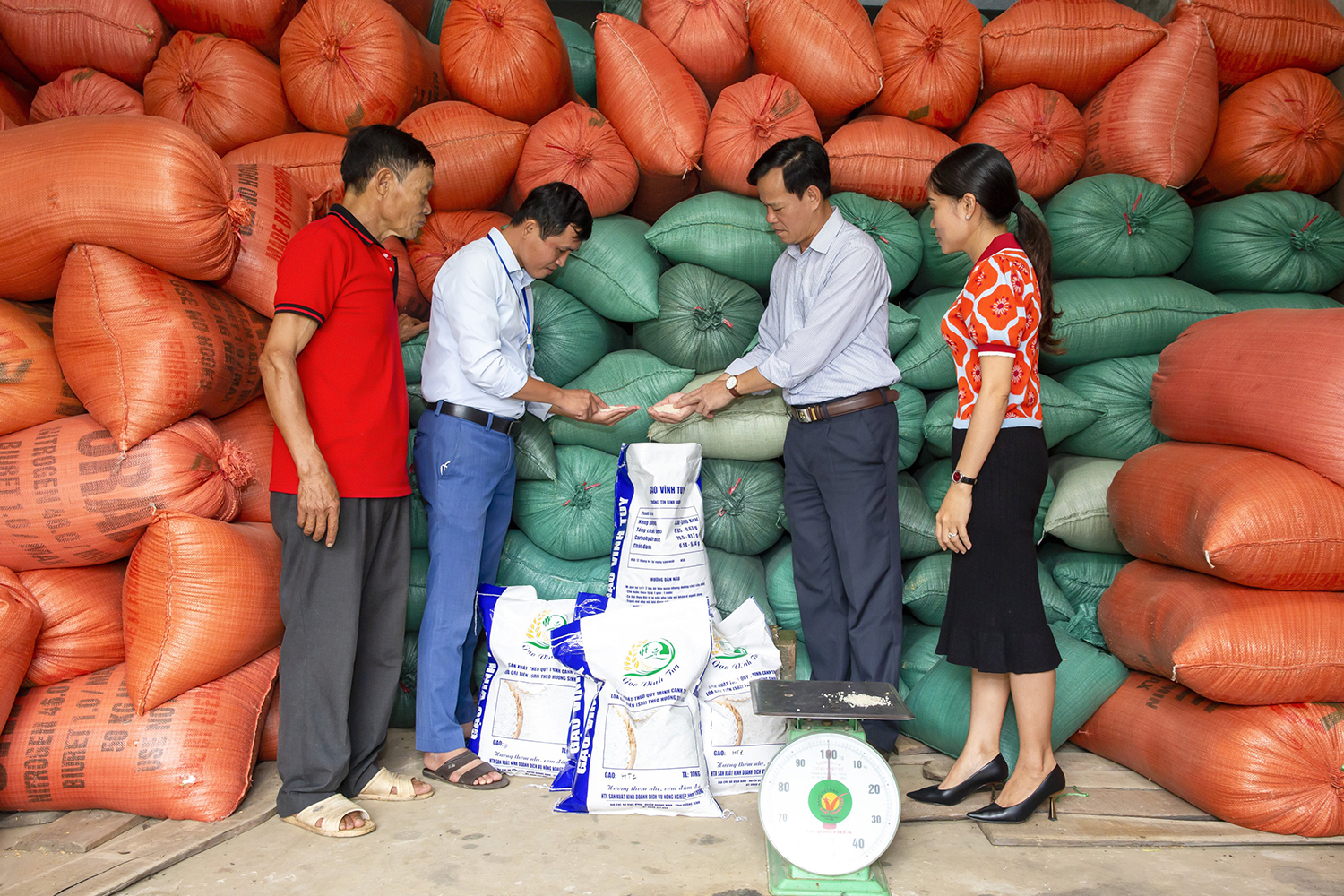 Gạo sạch-sản phẩm OCOP của xã Vĩnh Ninh (Quảng Ninh).