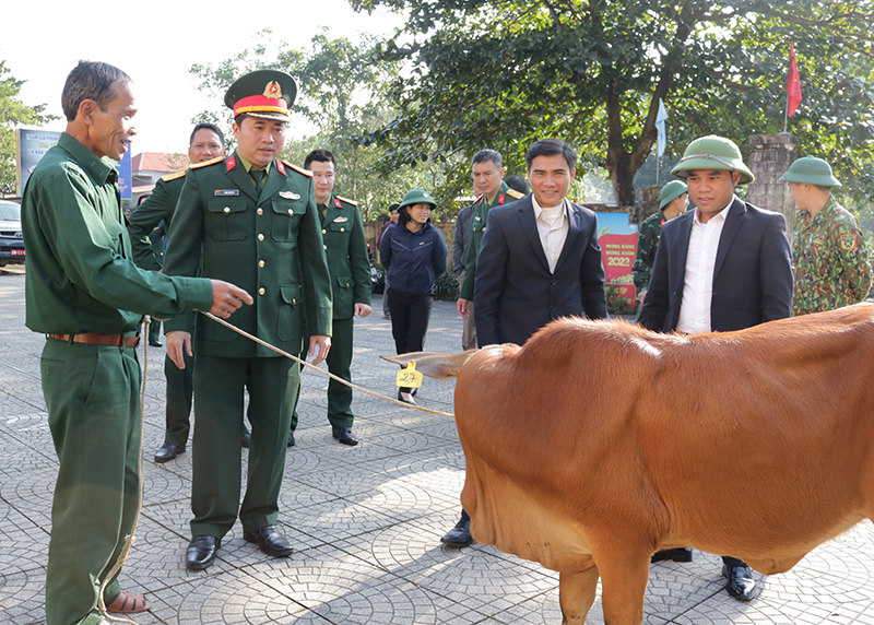 Đoàn KT-QP 79 bàn giao bò giống cho hộ nghèo tại xã Ngân Thủy.